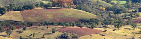 paysage